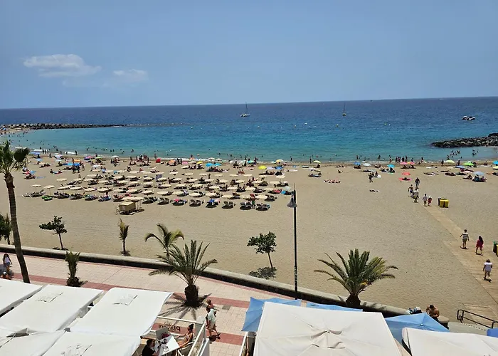 Exclusive Penthouse Playa Vistas 5 Close To Sea And Beach, Aircondition For A Fee, Wifi, Terrace, Heated Pool アパート プラヤ・デ・ラス・アメリカス